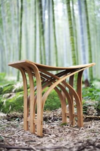 Arching Wooden Seats Image 6