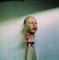 Fleshy Human Displays Image 2