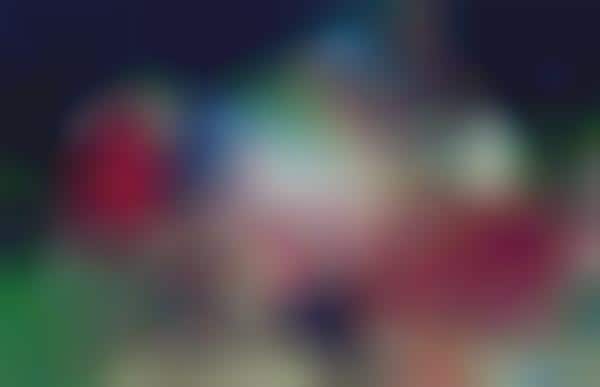 Mad Hatter Garden Photoshoots