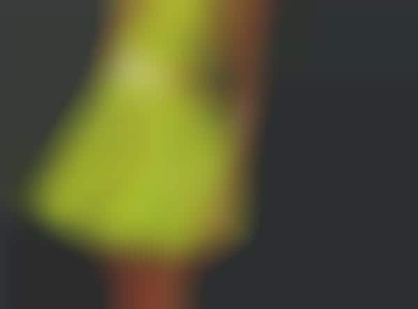 All-Fluorescent Dresses
