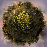 Globular Landscape Artworks Image 4