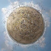 Globular Landscape Artworks Image 5