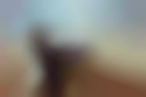 55 Rugged Outdoor Photoshoots