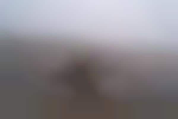 Obscure Figurine Photography