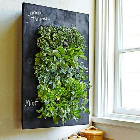 Blackboard Herb Gardens