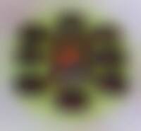 Popping Cocoa Crisps Image 1