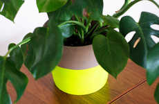 Neon DIY Planters