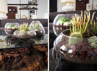 Transparent Handmade Planters Image 3