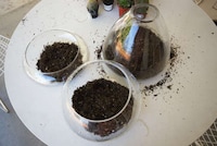 Transparent Handmade Planters Image 6