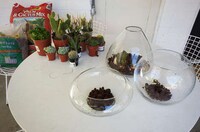 Transparent Handmade Planters Image 7