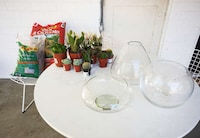 Transparent Handmade Planters Image 8