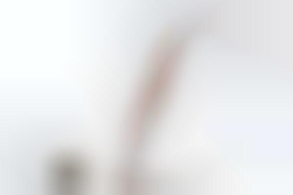 Abstract Flower-Inspired Lighting