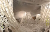 Spider Web Installations Image 6