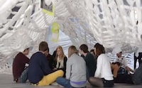 Spider Web Installations Image 7