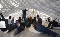 Spider Web Installations Image 8