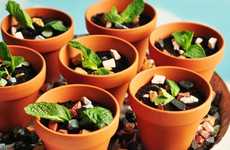 Rich Cocoa Planter Desserts