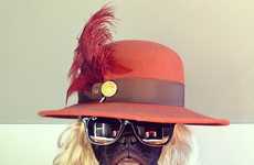 Dapper Doggy Dressups