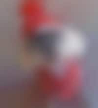 Disguising Doggy Costumes Image 1