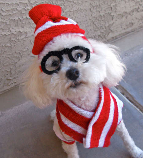 Disguising Doggy Costumes