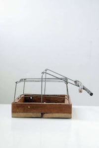 Branch-Built Beer Totes Image 4