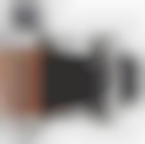 Flexible Panoramic Cameras