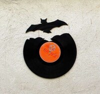 Avian Record Graffiti Art Image 6