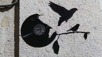 Avian Record Graffiti Art Image 8