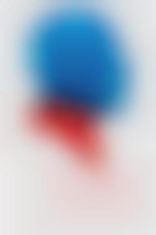 Patriotic Gelatin Portraits