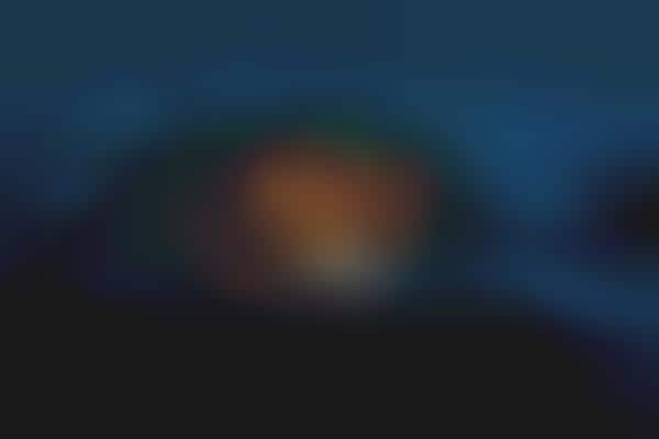 Rainbow Interior Cabins