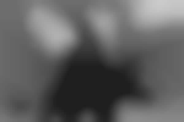 Interracial Couple Photoshoots