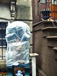 Storm Preparation Photography Image 4