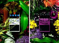 Floral Sound Exhibits Image 2