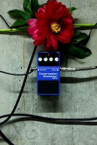 Floral Sound Exhibits Image 4