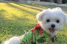 Holiday Pooch Sleepwear
