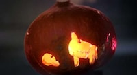 Animated Pumpkin Videos Image 7