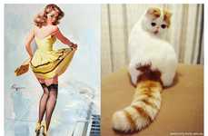 Suggestively Sprawled Feline Sites