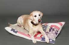 Eco-Friendly Pet Accessories