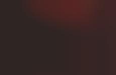 Foliage Framed Photography