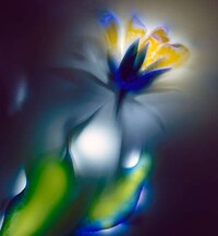 Stunning Images of Nature Electrified Image 3