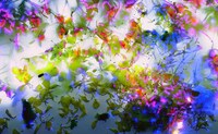 Stunning Images of Nature Electrified Image 7