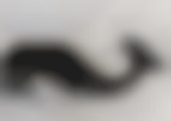 Surfing Mammal Groomers