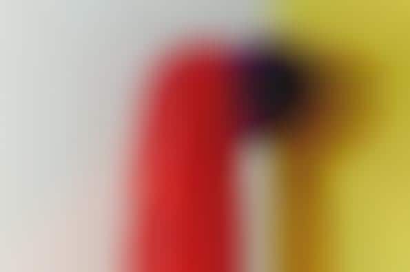 Vibrantly Bizarre Lookbooks