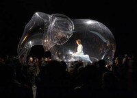 Pvc Performance Art Image 6