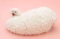 Canine Breed-Specific Structures