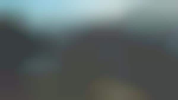 Visually Impaired Perspectives
