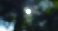Visually Impaired Perspectives Image 4