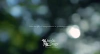 Visually Impaired Perspectives Image 5