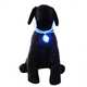 Light-Up Pet Protection Image 3