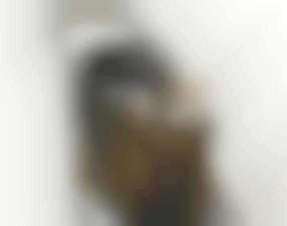 designer dog stroller