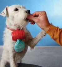 Pet-Held Waste Pouches Image 2